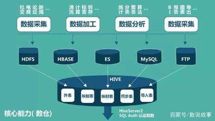 數說海納 以精準數字處理為企業破局與賦能